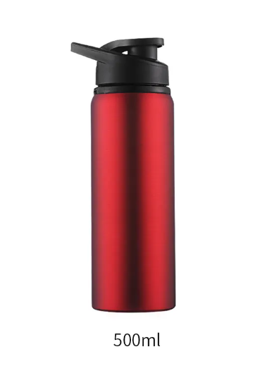 Stainless Steel Sports Kettle